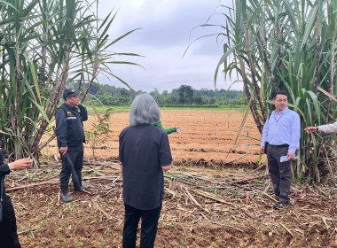 ร่วมสังเกตการณ์ คณะกรมสหกรณ์และพัฒนาชนบทเมียนมาร์ ... พารามิเตอร์รูปภาพ 48